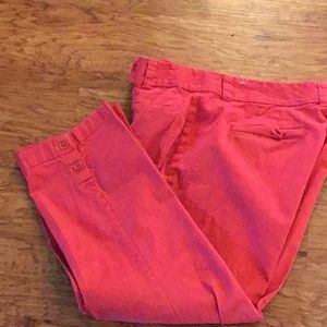 LOFT Cotton Pants